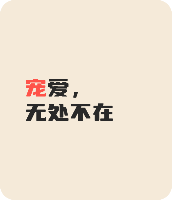 hth华体会宠物，无处不在