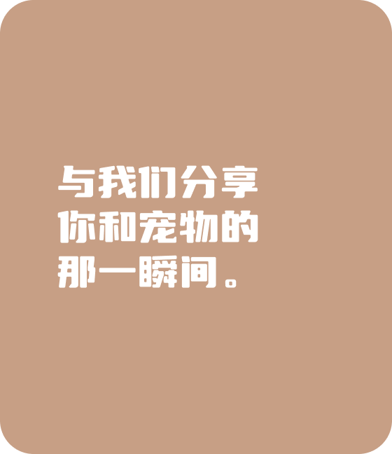 hth华体会宠物，无处不在